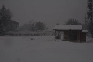 ログハウスが雪の中にポツリと