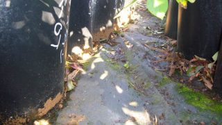 きれいになった通路