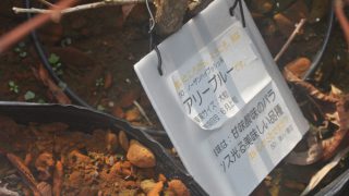 ネームプレート