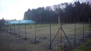 単管パイプ設置完了