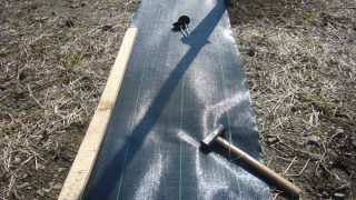 防草シート敷き