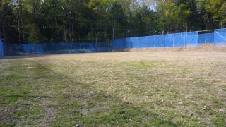 草を刈った園地