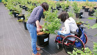 パティスリープティさま