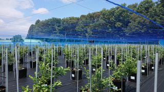 パイプ打ち終了