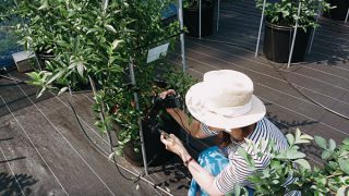 スタジオこほく取材