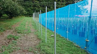 電気柵の設置工事