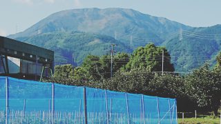 梅雨明けの伊吹山