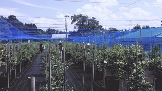 秋の気配を感じる園地