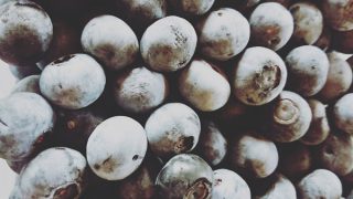 たくさんのブルーベリー