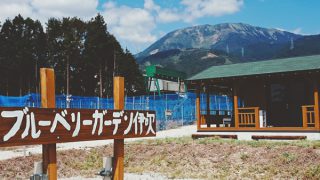 園地から見た秋の伊吹山