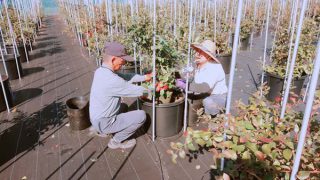 インナーポット外し