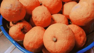 ざる一杯の柚子