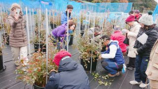 剪定講習の様子