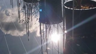 水たまりに太陽が反射しています