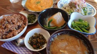 かぼちゃと鶏肉の豆乳煮込み