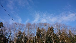 園地からの青空