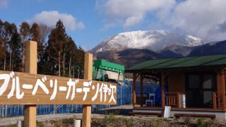 園地から見る伊吹山