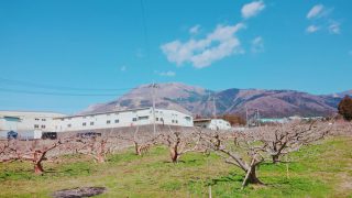 雄大なブルーベリー園地周辺の景色