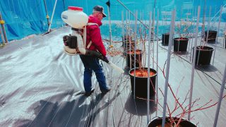 作業する近所のおじさん