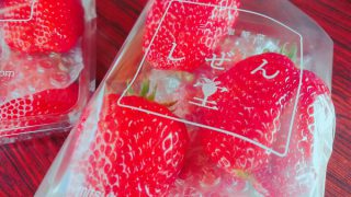 しぜん堂の大粒イチゴ