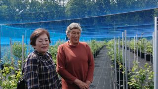 訪問された近江バジル協会の方