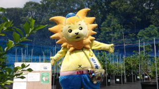 ゆるキャラあさ彦君