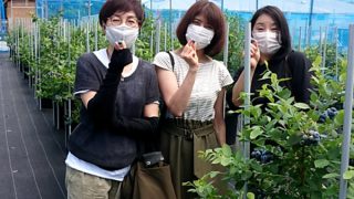 ブルーベリー狩りのお客様