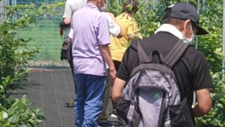 みんなでブルーベリー狩り