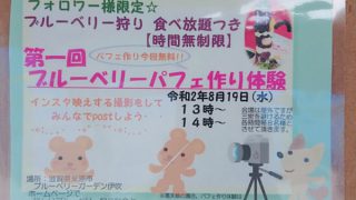 パフェ作り体験チラシ