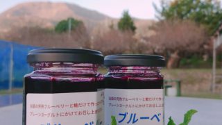 ブルーベリーソース