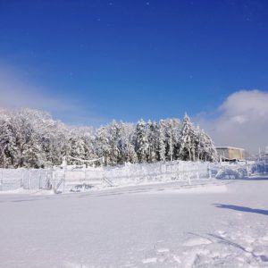 雪に覆われた園地