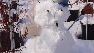 雪だるま