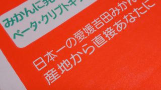 ミカンの効能が書かれた箱