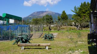 広場から望む景色