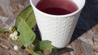 ブルーベリーホットレモン