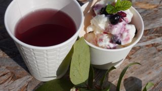 ブルーベリーアイス＆ドリンク