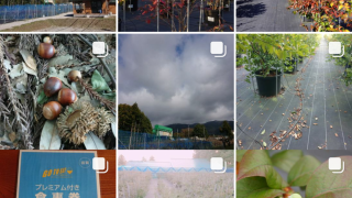 インスタグラム