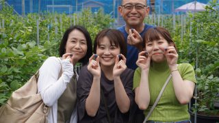 ブルーベリー狩りを楽しみ家族